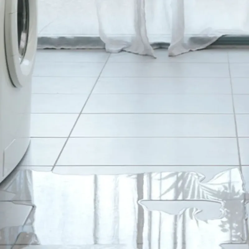 Appliance Leak Cleanup in Springdale, OH
