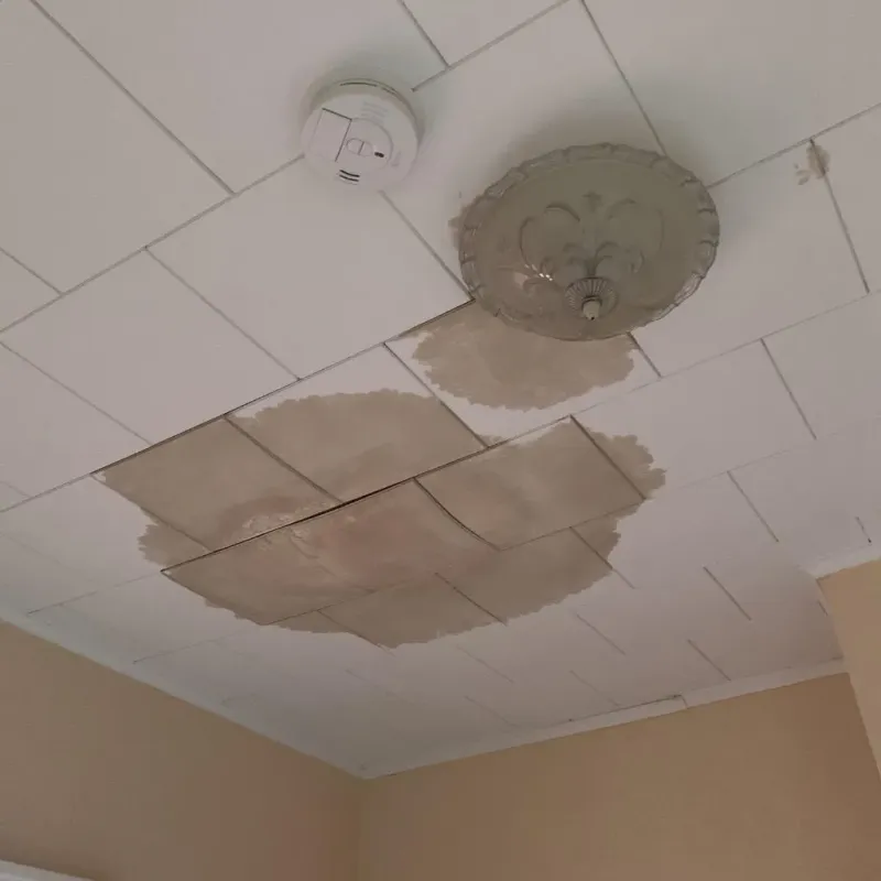 Ceiling Water Damage Repair in Springdale, OH