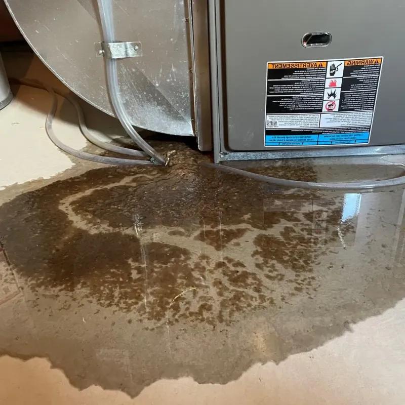 Pipe Burst and Leak Restoration in Springdale, OH